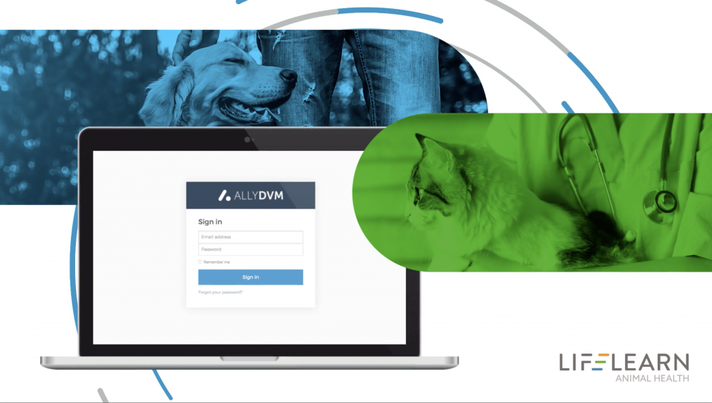 LifeLearn AllyDVM Video KiK Partners